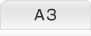 A3